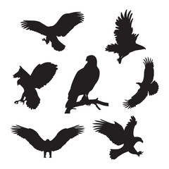 Collection of eagle silhouettes in various poses