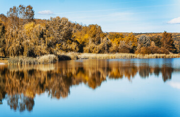 Fototapeta na wymiar Beautiful autumn landscape. Lake with reflections of yellow autumn forest on a sunny day