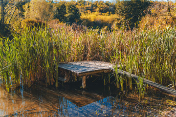 A wooden pier for fishing and relaxation overgrown with reeds on a pond in the autumn forest
