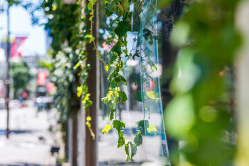 成城学園周辺の風景