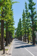 成城学園周辺の風景