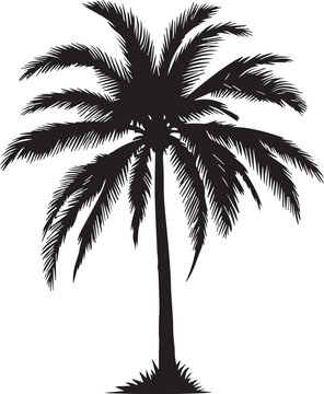 palm tree EPS, palm tree Silhouette, palm tree Vector, palm tree Cut File, palm tree Vector