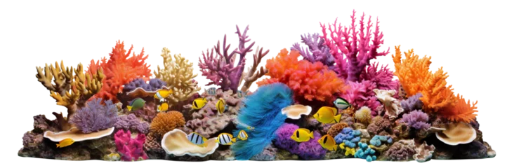 Fotobehang Coral reef cut out © Yeti Studio