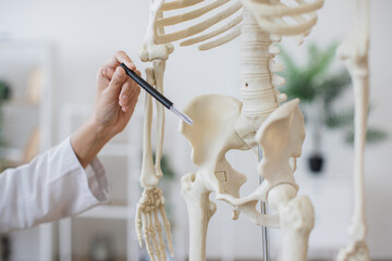 Crop of doctor pointing at skeleton anatomical model in light contemporary office. Experienced female professor in white coat indicating pelvis with pen while teaching lecture for students. - obrazy, fototapety, plakaty