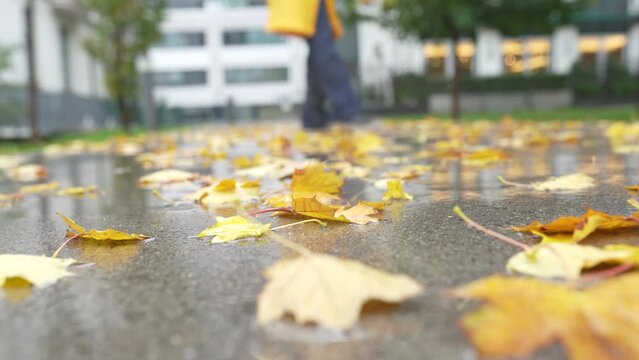 Portrait teenage girl in yellow raincoat in autumn park