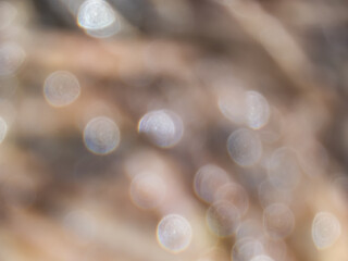 Light brown background with white bokeh effect and purposely blurred view of sunlight. Blurry...