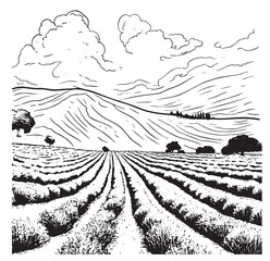 Lavender field hand drawn sketch in doodle Vector illustration