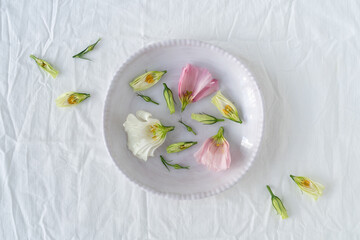 Decor of flowers and dishes on a white tablecloth. Pink and white flowers on fabric.