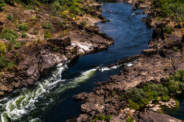 Obraz premium Río rodeado de flora en Galicia.