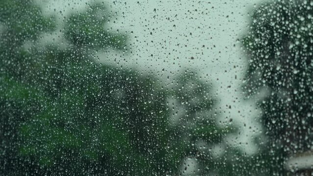 Rain drops on window glass surface. Abstract water droplets on transparent glass. Green trees outside the wet window on rainy day. Storm weather