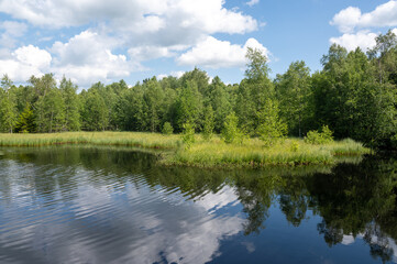 Lake in green nature with blue sky and white clouds