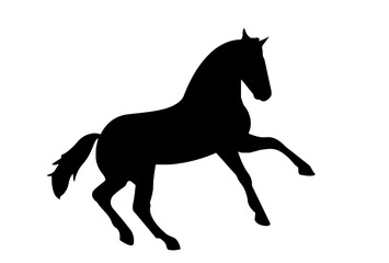 silhouette of a horse