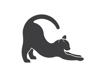 Fototapeta premium silhouette of a cat