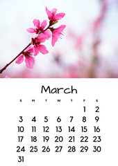 March month on the 2024 calendar with a flower photo. Calendar for 2024 by month. - obrazy, fototapety, plakaty