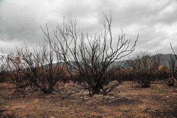 Incendis Saint André