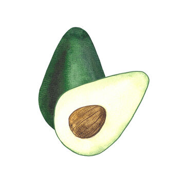 recommend clip art: avocado watercolor fruits, fruitarianism, healthy food
