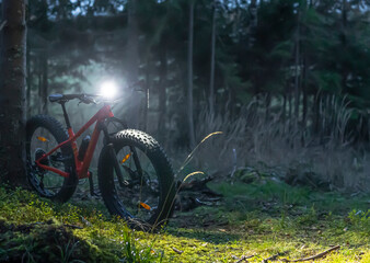 Fat tire biking in the forest at dark