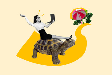 Photo cartoon comics sketch collage picture of excited funny lady finish work riding turtle...