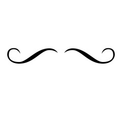 Curly graphic elements. Calligraphy swashes, signature decorative creative desig