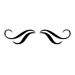 Obraz premium Curly graphic elements. Calligraphy swashes, signature decorative creative desig