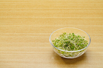 ブロッコリースプラウト