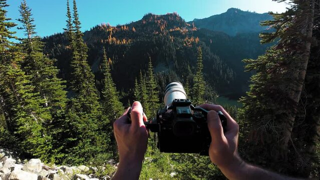Nature Photographer Behind Camera POV View of Fall Trees