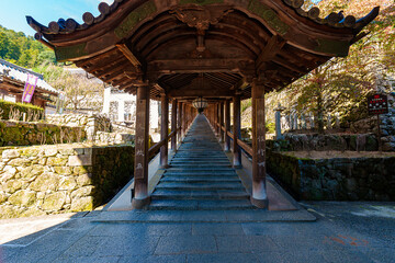 【奈良県】桜井市 長谷寺 (2023/10/24 撮影)