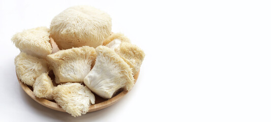 Fresh lion's mane mushroom. (Yamabushitake Mushroom)