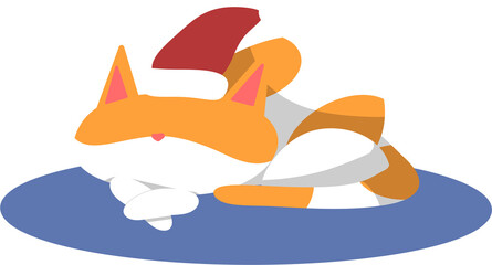 산타모자를 쓴 고양이