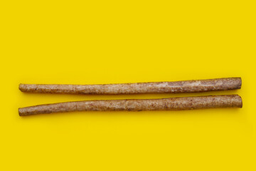 Burdock Root (Gobo) on yellow background.