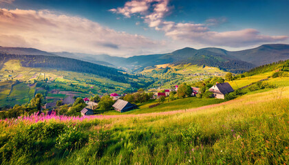 long phocus picture spectacular summer view of mountain village wonderful morning scene of carpathian mountains snidavka village location ukraine beautiful summer scenery