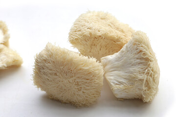 Fototapeta na wymiar Fresh lion's mane mushroom. (Yamabushitake Mushroom)