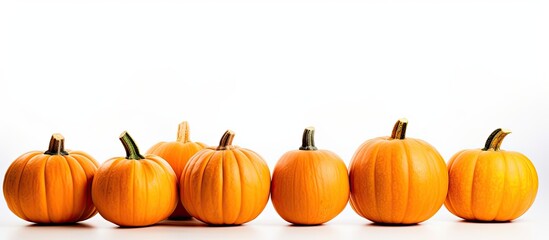 Obraz premium White backgrounded pumpkins