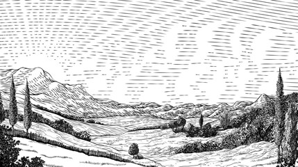 A landscape of rolling hills and sun in cloudy sky. Original vintage rural farm or vineyard illustration in a vintage woodcut engraving style.