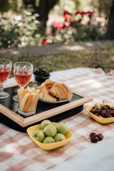 Picnic in nature. Delicious and healthy food. Glasses with a drink.