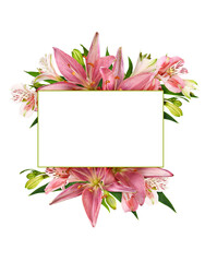 Coral alstroemeria, lily flowers, buds and green leaves in a floral arrangement with white empty card for text isolated on white or transparent background