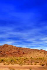 Sonora Desert Arizona