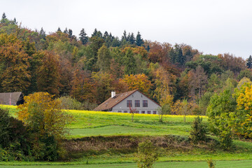 Scenic view of autumn landscape with autumn leaves and agriculture field on a cloudy day. Photo taken October 30th, 2023, Zurich, Switzerland.