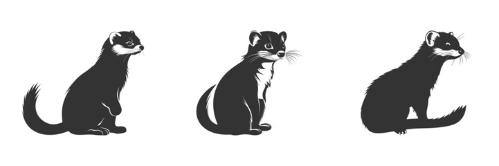 Silhouette of a ferret animal. Vector illustration