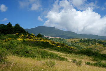 Fototapeta na wymiar Rural landscape in Tuscany near Abbadia San Salvatore