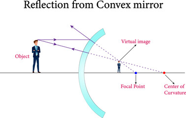 The reflection from convex mirror , Reflection and spherical mirrors , optics.Vector illustration.