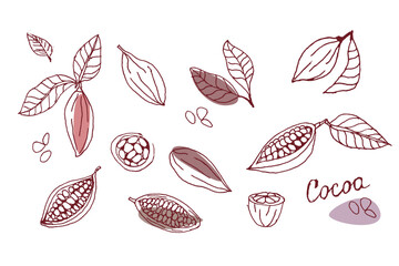 Doodle cocoa beans sketch in hand drawn style