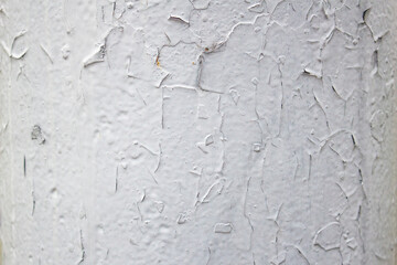 Fototapeta premium Textured white wall background surface