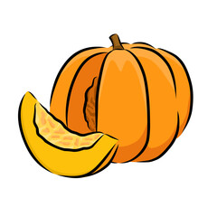 pumpkin isolated on white background, yellow pumpkin