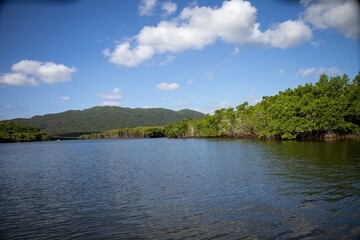 マングローブとサンゴ礁の島