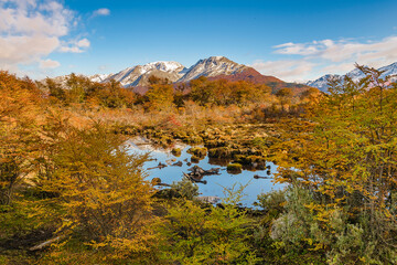 Fototapeta na wymiar Meadow landscape, cerro alarken, ushuaia, argentina