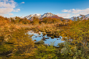 Fototapeta premium Meadow landscape, cerro alarken, ushuaia, argentina