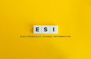 Electronically stored information (ESI).