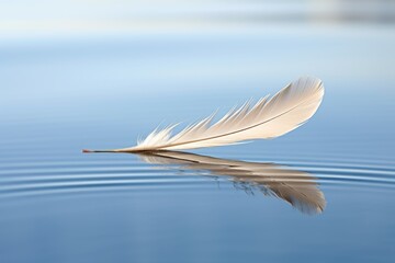 a feather floating gently on a calm breeze