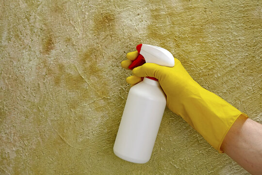 Repair and disinfection of the wall of the house. A hand in yellow protective gloves treats a wall covered with mold and mildew with an antifungal agent.